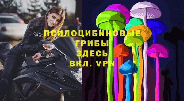 гидропоника Билибино