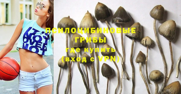 прущая мука Бикин