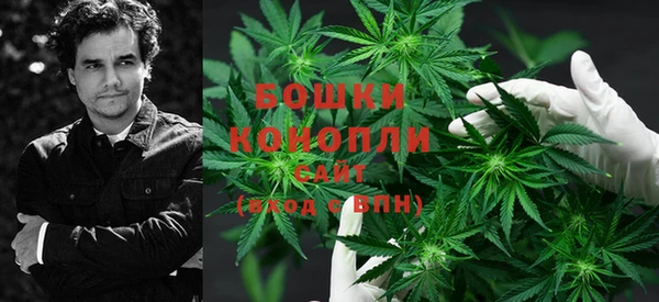 прущая мука Бикин