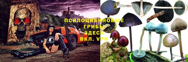 прущая мука Бикин